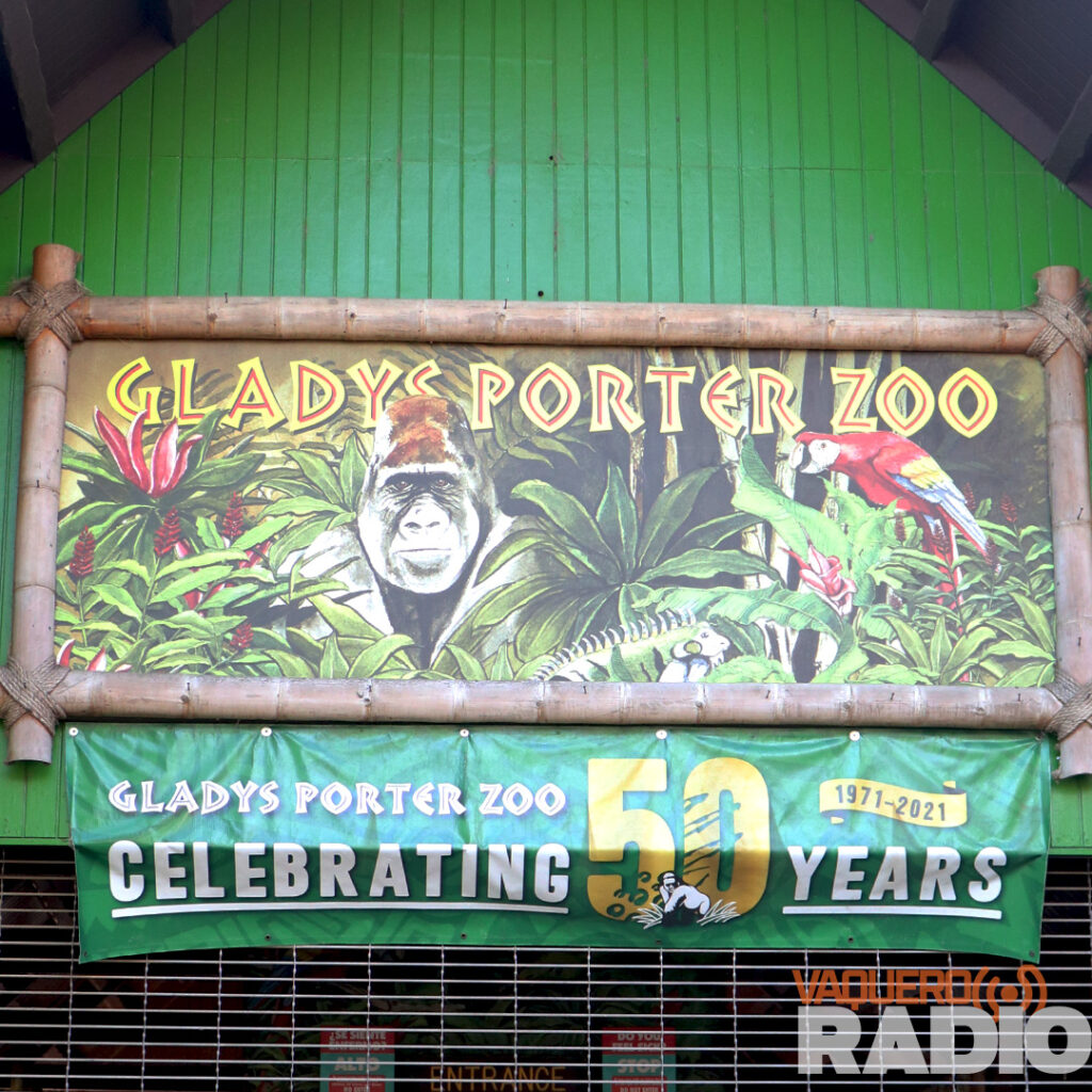 Gladys Porter Zoo unveils master plan