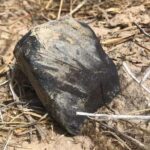 Meteorite lands in McAllen