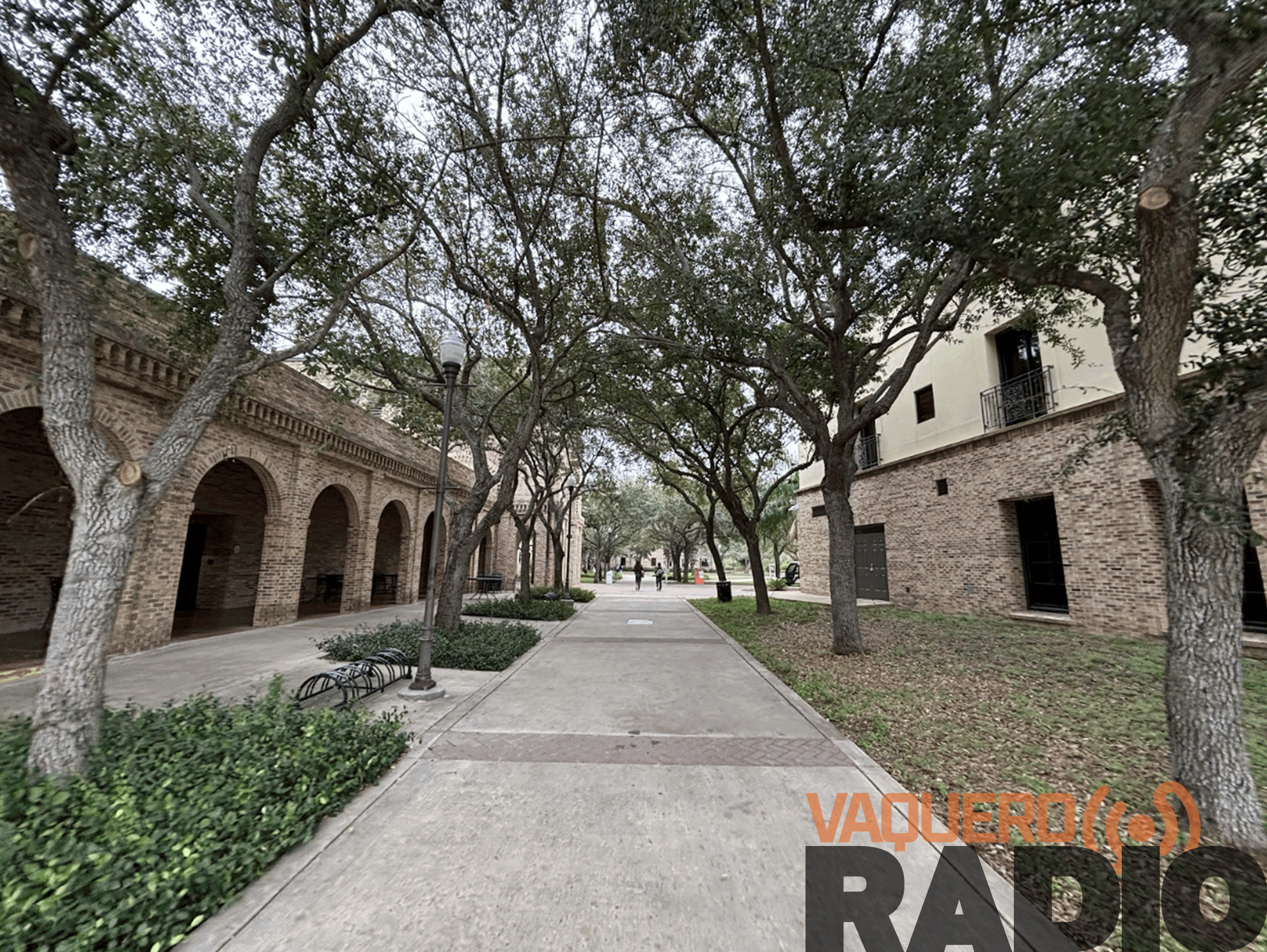 UTRGV seeking guidance on AI usage policy, official says